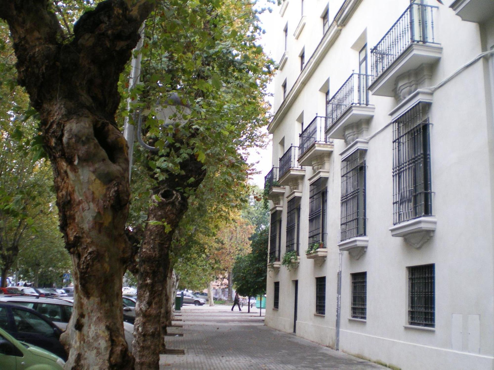 Apartamentos Murallas De Sevilla Kültér fotó