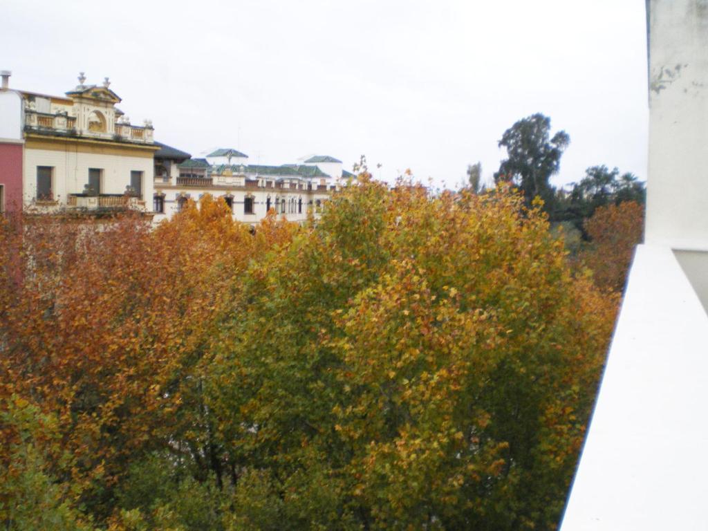 Apartamentos Murallas De Sevilla Kültér fotó